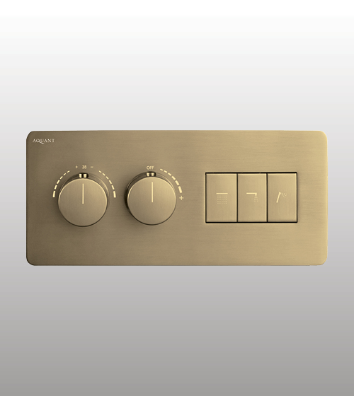 3 Outlets Thermostatic Switch Button Diverter – Aquant India